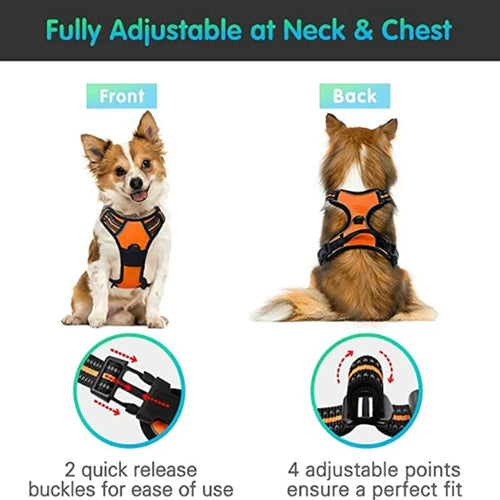 Chest And Back Breathable Reflective Dog Vest